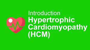 HeartLife Course Banner HCM
